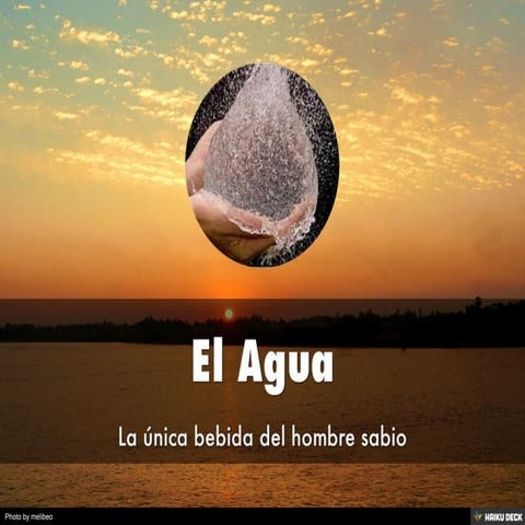 El Agua Pdf