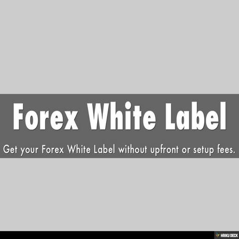 Free Forex White Label | PPT