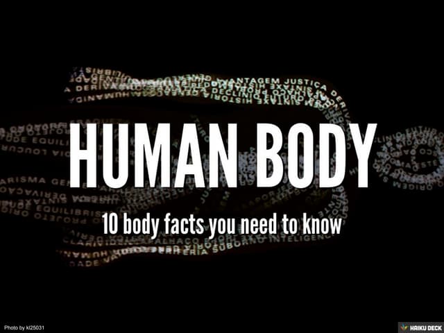 Human Body