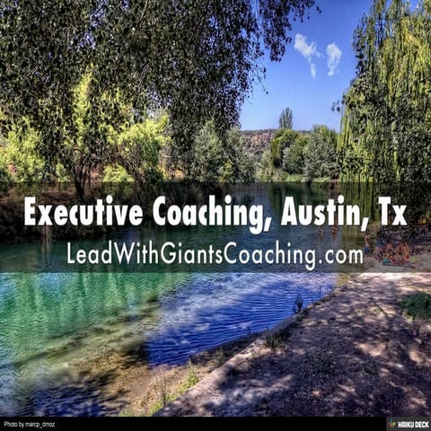 Executive Coaching, Austin, Tx