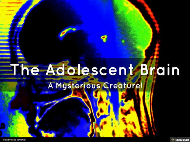 The Adolescent Brain