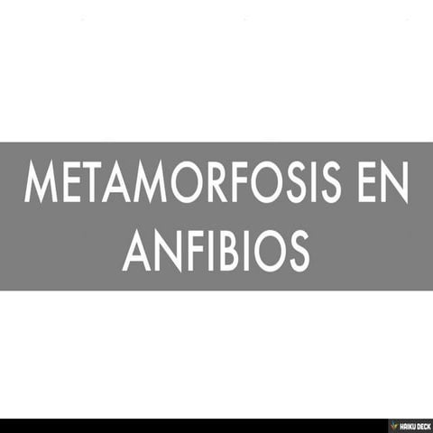 METAMORFOSIS EN ANFIBIOS | PDF