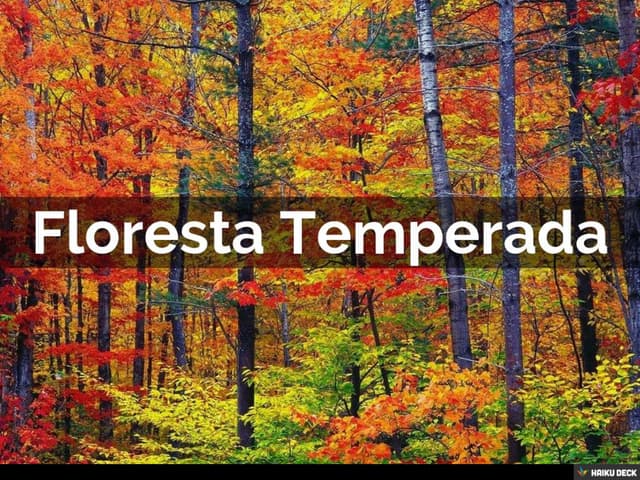 Floresta Temperada 
