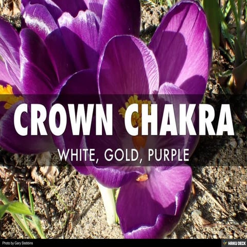 CROWN CHAKRA