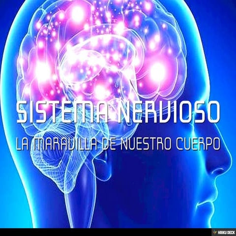 SISTEMA NERVIOSO