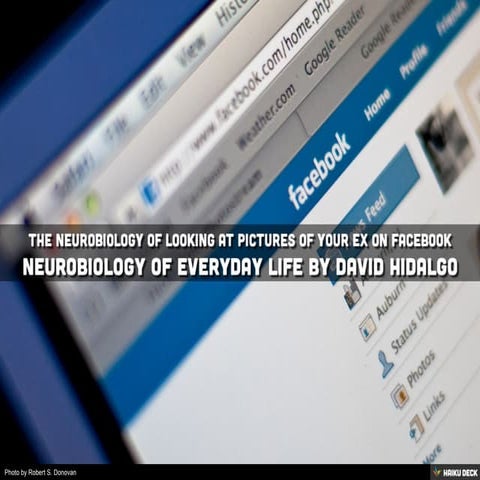 The Neurobiology of Looking at Pictures of your Ex on Facebook