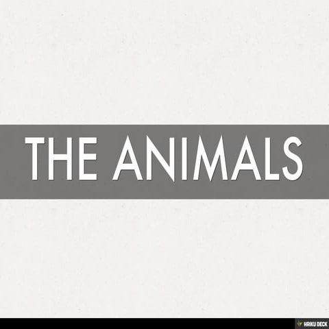 THE ANIMALS