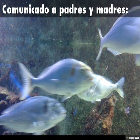 Comunicado a padres y madres: