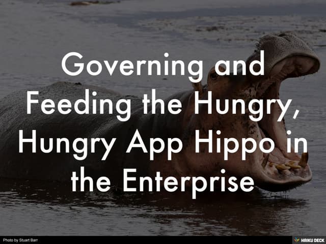 Governing and Feeding the Hungry, Hungry App Hippo in the Enterprise