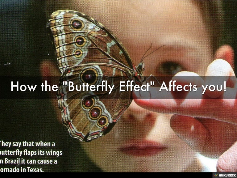How the "Butterfly Effect" Affects you!