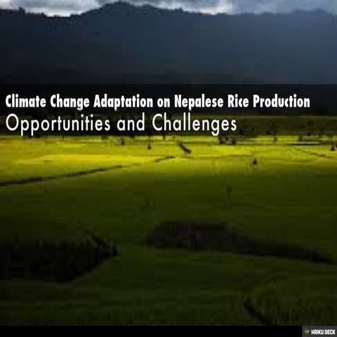 Climate Change Adaptation on Nepalese Rice Production