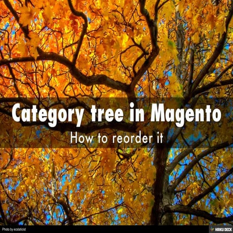 Category tree in Magento