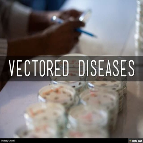 Vectored Diseases