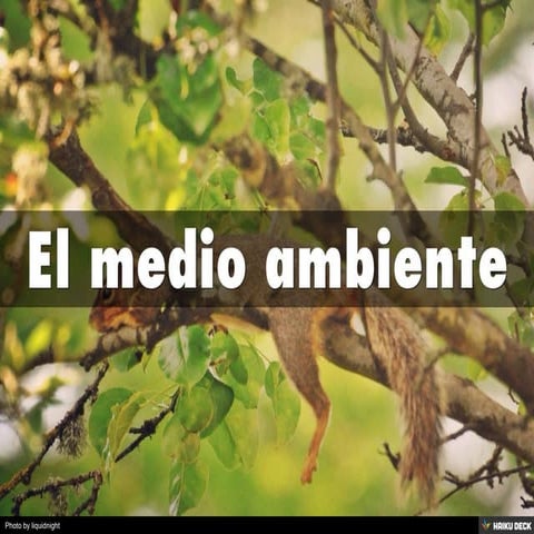 El medio ambiente