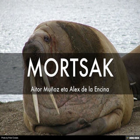 MORTSAK