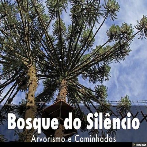 Bosque do Silêncio