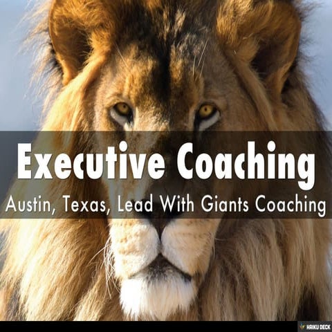 Executive Coaching