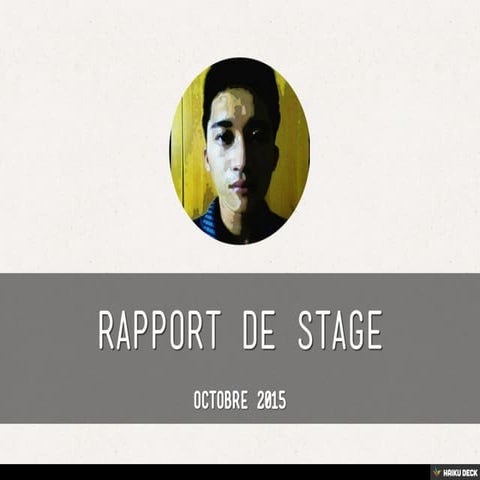 Rapport de stage UpdateFrance 2015