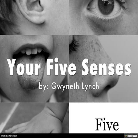 Your Five Senses