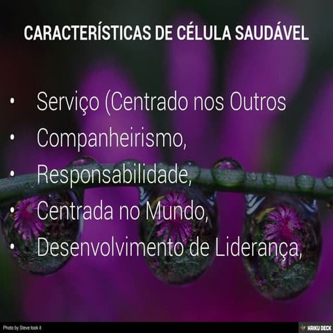 Características de Célula Saudável