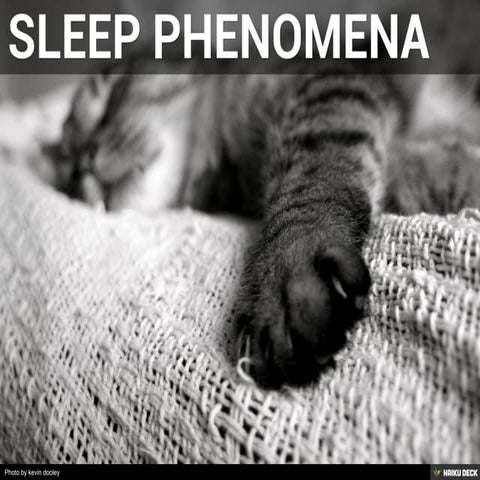 Neurobiology of sleep