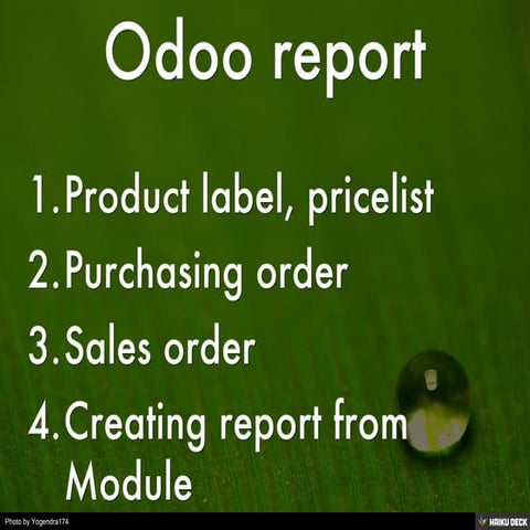 Odoo report