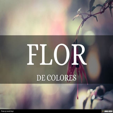 flor