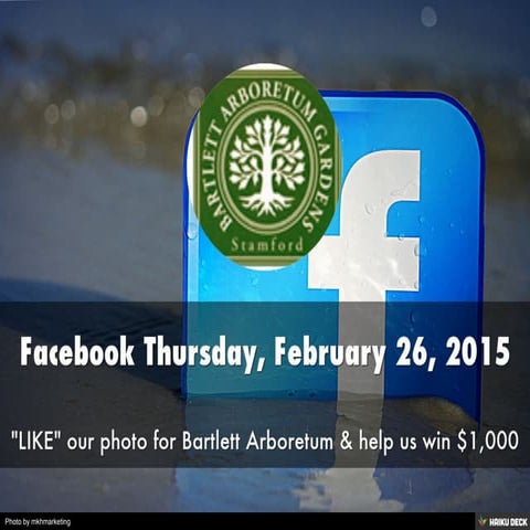 Facebook Thursday, February 26, 2015