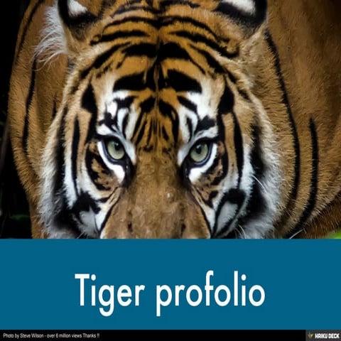 Untitled Presentation