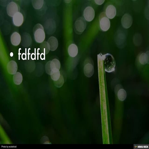 Untitled Presentation