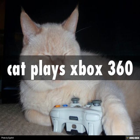 cat plays xbox 360 | PPT