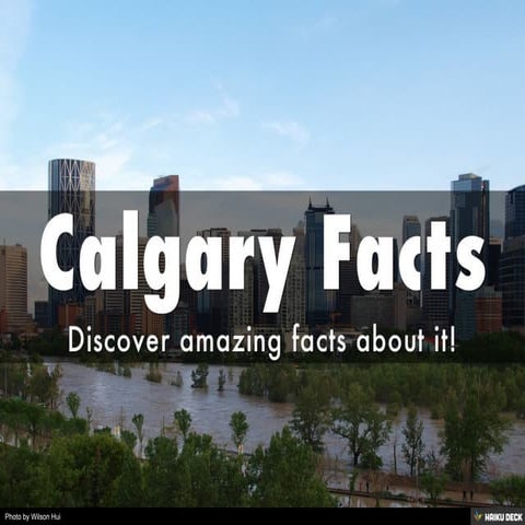 Calgary Facts