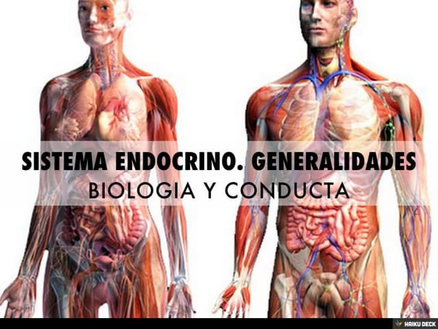 SISTEMA ENDOCRINO. GENERALIDADES