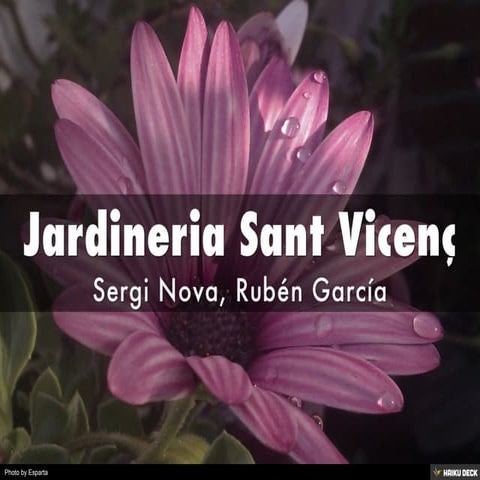 Jardineria Sant Vicenç