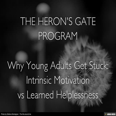 WHY YOUNG ADULTS GET STUCK: INTRINSIC MOTIVATION VS LEARNED HELPLESSNESS