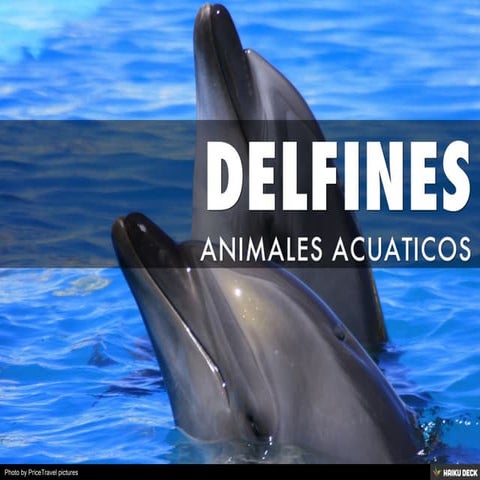 DELFINES