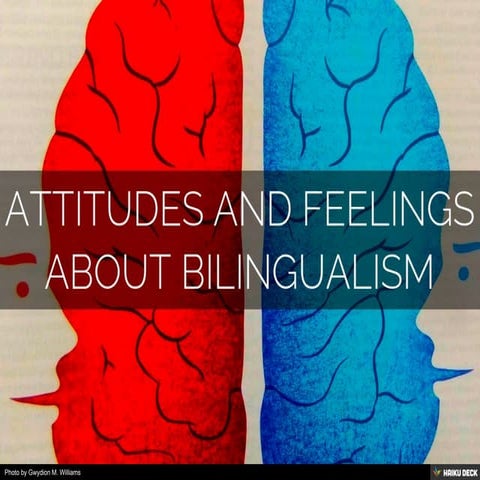 Attitudes and feelings about