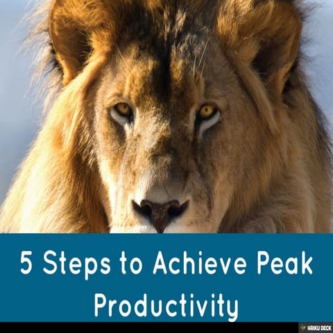 How to Achieve Peak Productivity