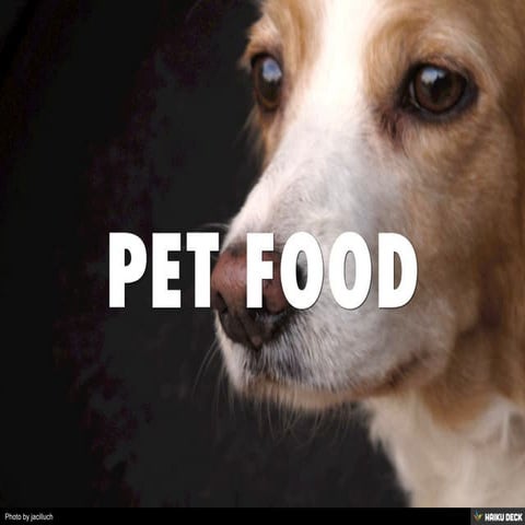 PET FOOD