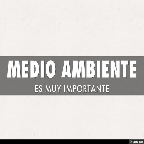MEDIO AMBIENTE