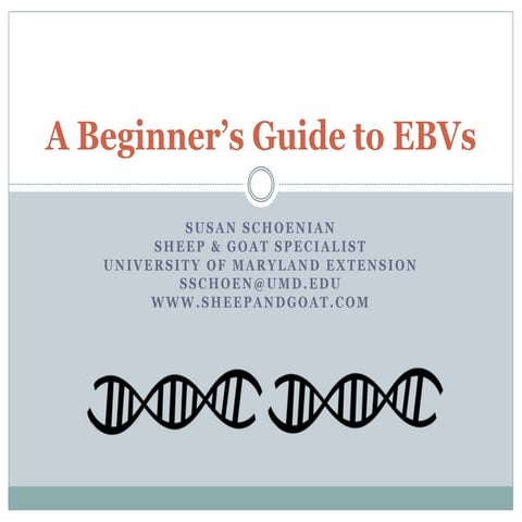 A beginner’s guide to EBVs