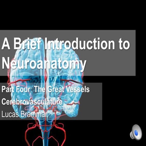 A Brief Introduction to Neuroanatomy: The Great Vessels
