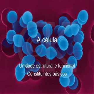 A Célula