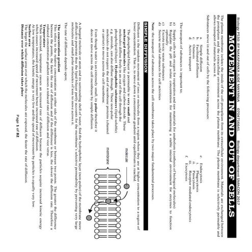 A-LEVEL TRANSPORT.pdf
