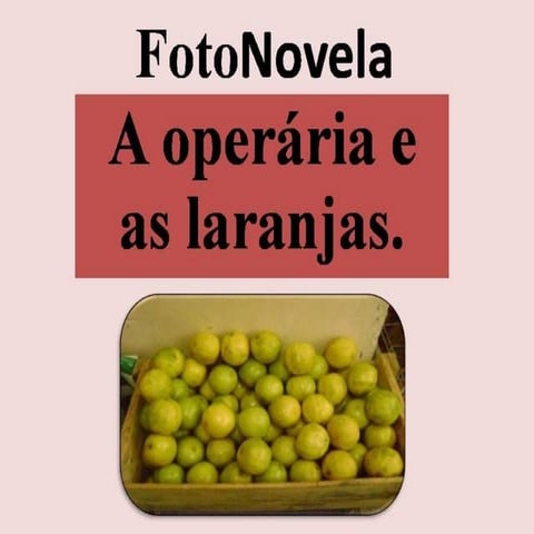 A operária e as laranjas   Tec N2 A   Imirim 2008d
