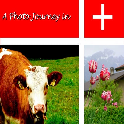 A Photo Jouney In Switzerland