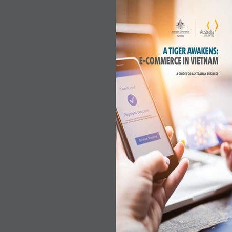 A-Tiger-awakens-Ecommerce-in-Vietnam.pdf