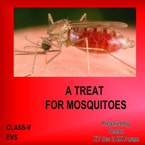 A treat-for-mosquitoes