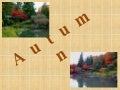 A U T U M N 3