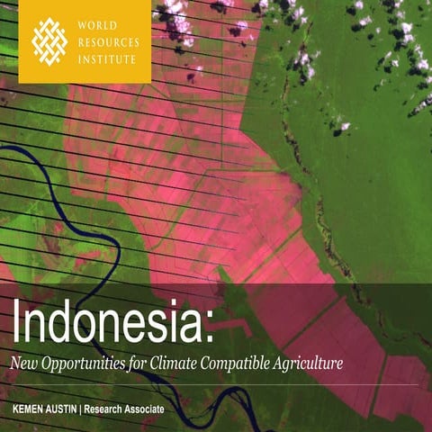 Using Degraded Land For Sustainable Palm Oil PPT